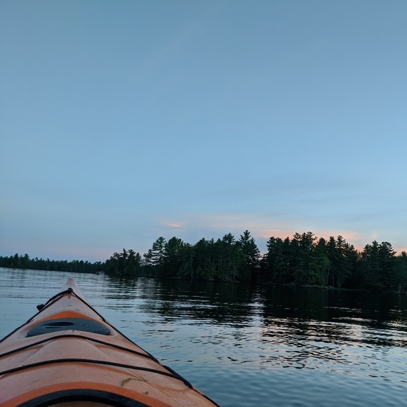 Meet your Posher, Tosha - Picture 1 of 1